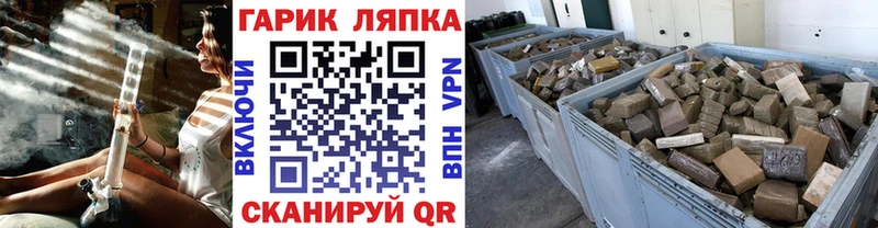 ГАШИШ VHQ  сколько стоит  ссылка на мегу ССЫЛКА  Светлогорск 