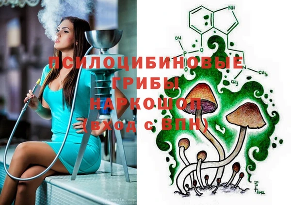 spice Баксан